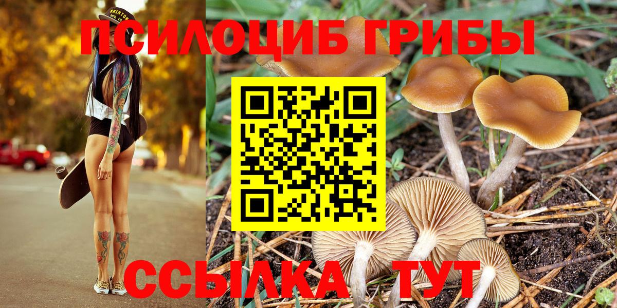 Псилоцибиновые грибы MAGIC MUSHROOMS  Вход с VPN  Тольятти 