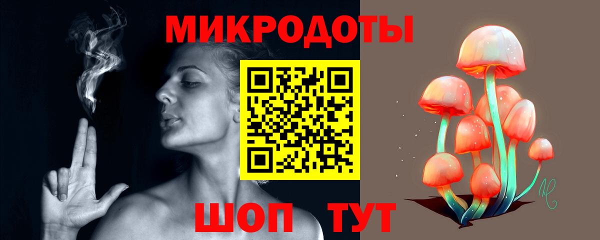 Псилоцибиновые грибы Psilocybe Тольятти