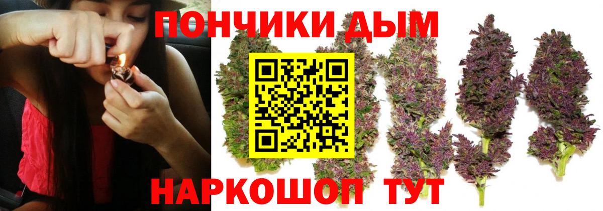 Конопля марихуана  Вход с VPN  Шишки марихуана конопля  Тольятти  Каннабис семена 